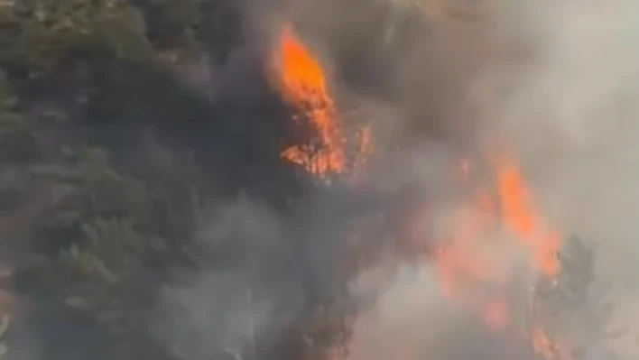 Hatay'da orman yangını: Ekipler alevlere karşı zamanla yarışıyor!