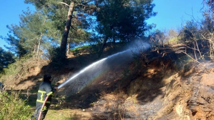 Hatay'da orman yangını!