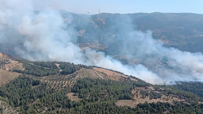 Hatay'da orman yangını!