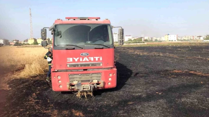 Hatay'da tarla yangını: Buğdaylar ziyan oldu!