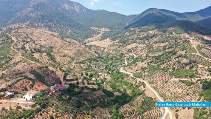 Hatay'da yaşlı adamı öldürüp cesedini dere yatağına bıraktılar!