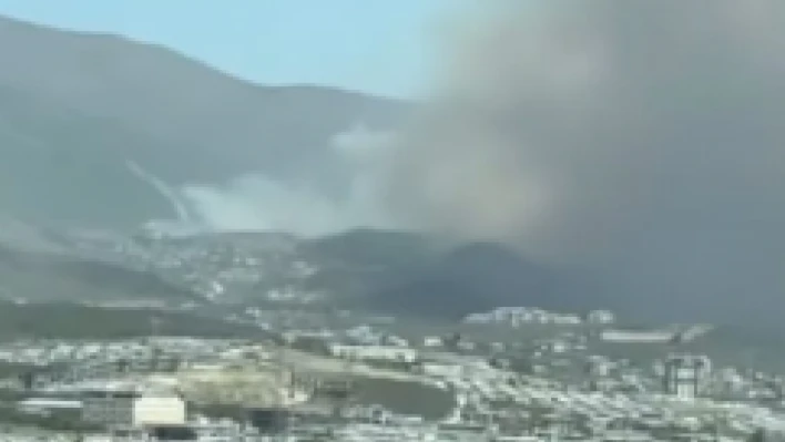 Hatay'da yürekler ağızlara geldi: Korkutan yangın…