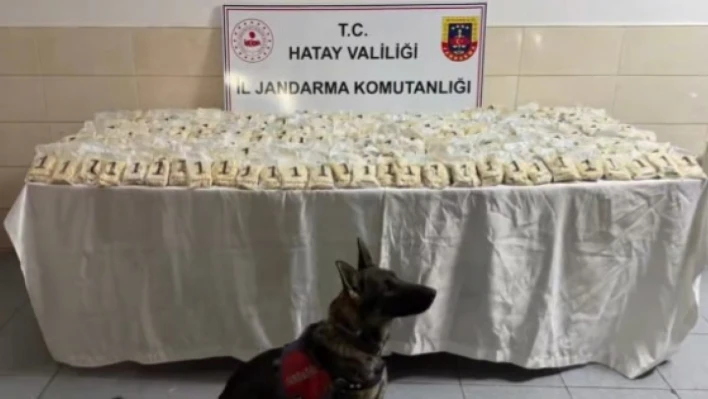 Hatay dahil 29 ilde dev operasyon!