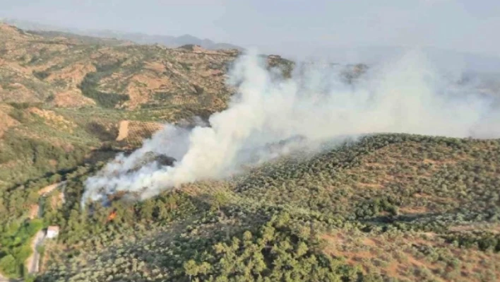 Hatay'daki o ilçede ormanlar yanıyor!