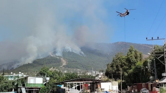 Hatay'daki yangında zarar bilançosu açıklandı: 95 hektar ormanlık alan kül oldu!