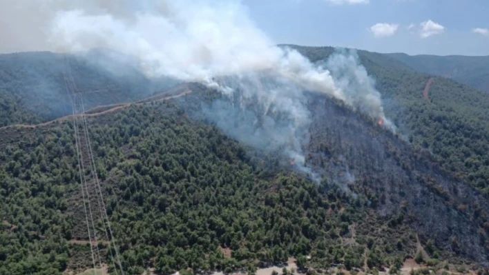 Son Dakika! Hatay'da orman yangını