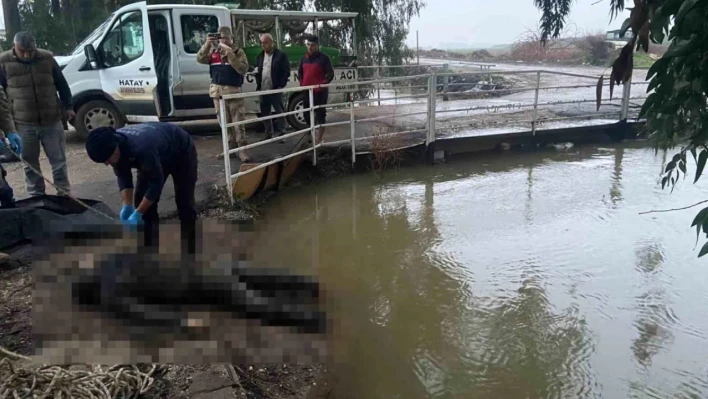 Sulama kanalında bir ceset daha: Hatay'da ne oluyor böyle?