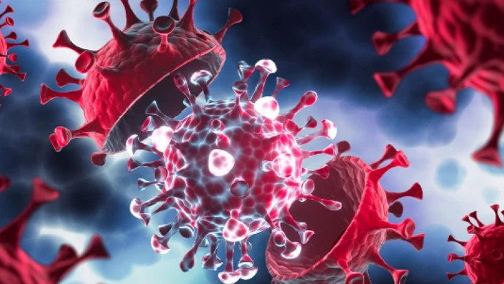 Hindistan’da Nipah alarmı: Dünya yeniden salgın sonrası kapanmaya mı gidecek?