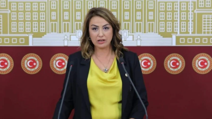 CHP'li Kara, Hatay'ın sorunlarını TBMM gündemine taşıdı