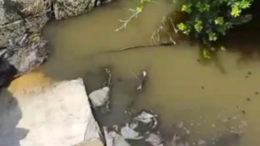 Hatay'da lağım sorunu vatandaşların tepkisine neden oluyor!