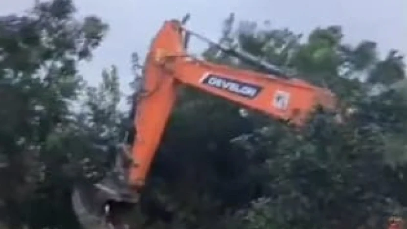 Hatay'da narenciye ağaçları kesiliyor: Vatandaş direniyor!
