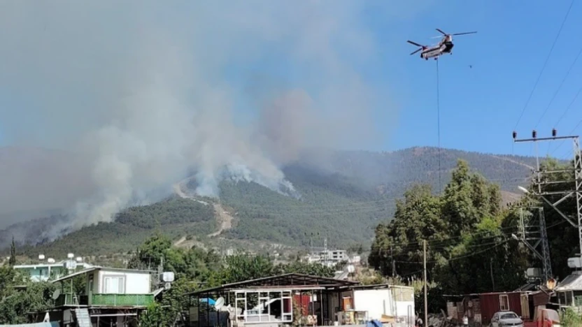 Hatay'daki yangında zarar bilançosu açıklandı: 95 hektar ormanlık alan kül oldu!