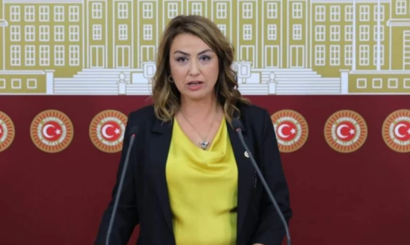 CHP'li Kara, Hatay'ın sorunlarını TBMM gündemine taşıdı