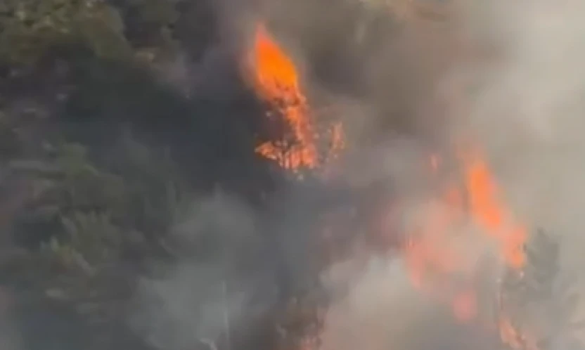 Hatay'da orman yangını: Ekipler alevlere karşı zamanla yarışıyor!