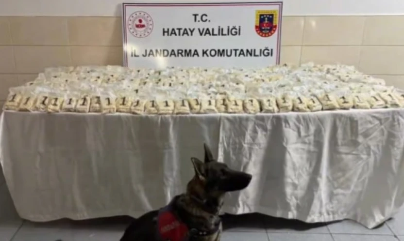 Hatay dahil 29 ilde dev operasyon!