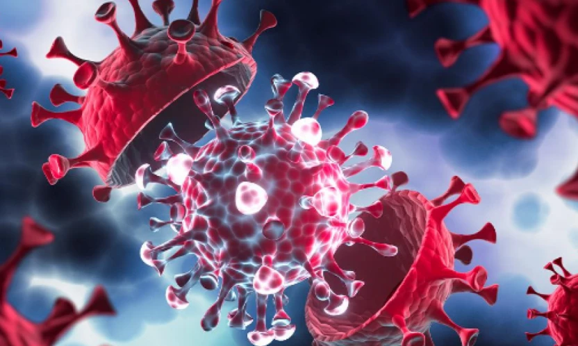 Hindistan'da Nipah alarmı: Dünya yeniden salgın sonrası kapanmaya mı gidecek?